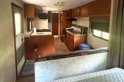 Cougar_4638